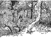 CHLD0989.jpg
