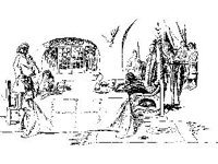 CHLD2205.jpg
