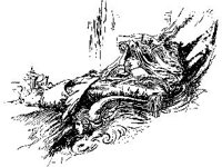 CHLD2168.jpg