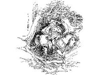 CHLD2132.jpg