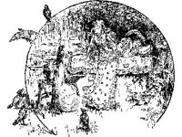 CHLD2125.jpg