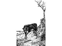 CHLD1631.jpg