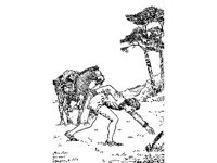 CHLD1628.jpg