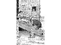 CHLD1622.jpg