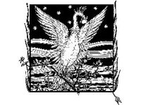 CHLD1607.jpg