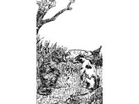 CHLD1606.jpg