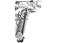 CHLD1514.jpg
