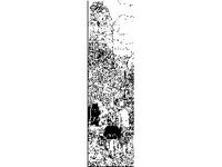 CHLD1503.jpg