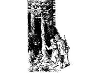 CHLD1502.jpg