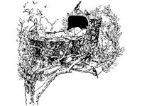 CHLD1450.jpg