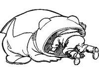 CHLD1358.jpg