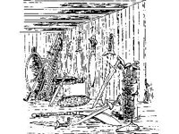 CHLD1311.jpg