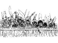 CHLD1283.jpg