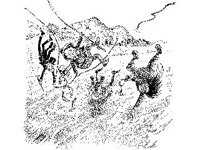 CHLD1277.jpg