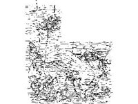 CHLD1263.jpg