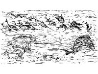 CHLD1262.jpg
