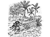 CHLD1255.jpg