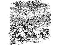 CHLD1251.jpg