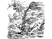CHLD1245.jpg