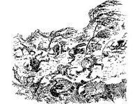CHLD1244.jpg