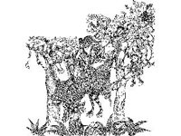 CHLD1223.jpg
