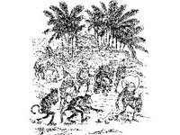 CHLD1209.jpg