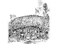 CHLD1194.jpg