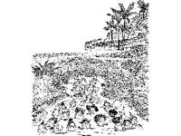 CHLD1187.jpg