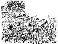 CHLD1186.jpg