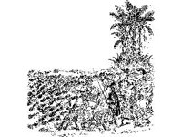 CHLD1183.jpg