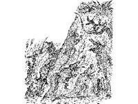 CHLD1182.jpg
