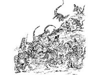 CHLD1180.jpg