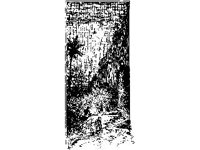 CHLD1762.jpg