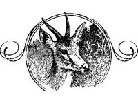 CHLD1754.jpg