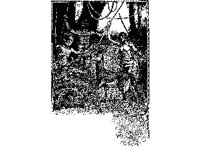 CHLD1749.jpg