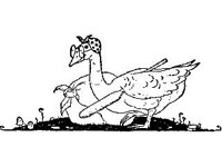 CHLD1729.jpg