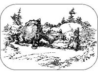 CHLD1711.jpg