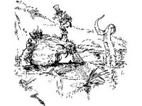 CHLD1693.jpg