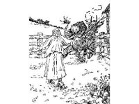 CHLD1678.jpg