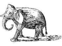 CHLD1777.jpg