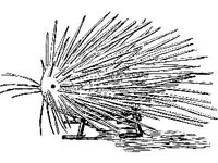 CHLD1770.jpg