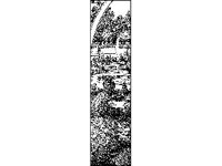 LNSCP008.jpg