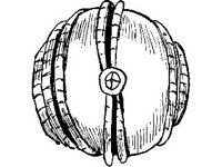 CVLZ0688.jpg