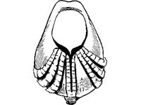 CVLZ0687.jpg