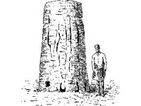 CVLZ0659.jpg