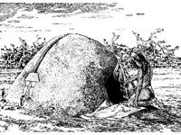 CVLZ1381.jpg