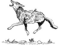 CVLZ1371.jpg