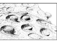 CVLZ1366.jpg