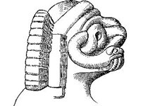 CVLZ1057.jpg