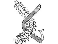 CVLZ0998.jpg